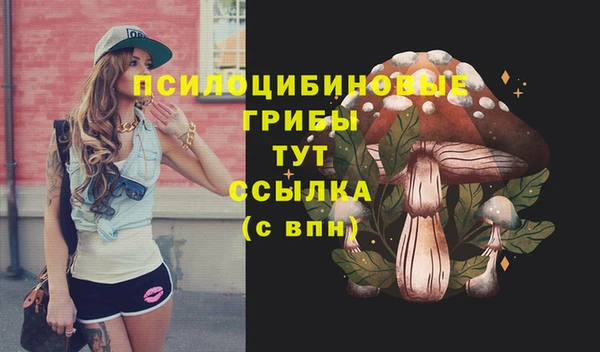 спайс Абдулино